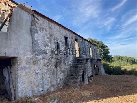 Quinta Venda Na Rua Das Valinhas S N Ca Arilhe E Infesta Celorico