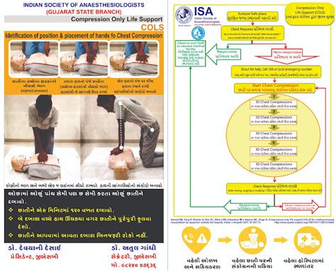 Mastering Life Saving Skills A Comprehensive Guide To Cpr