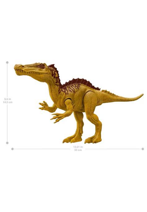 Buy Jurassic World Jurassic World 12'' Suchomimus Dinosaur Toy 2024 ...