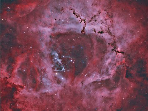 Rosette Nebula Haoiii Dark Matters Astrophotography