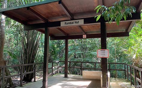 MacRitchie Reservoir Trail: Trekking Around The Central Catchment ...