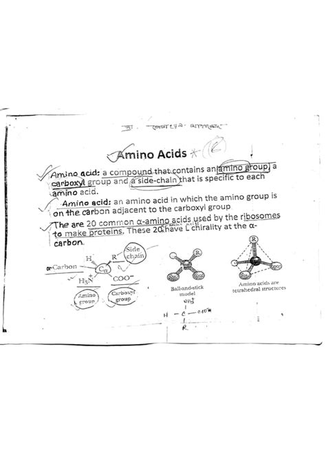 Amino acid and their types with properties | PDF