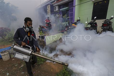 PENGASAPAN UNTUK CEGAH DBD ANTARA Foto