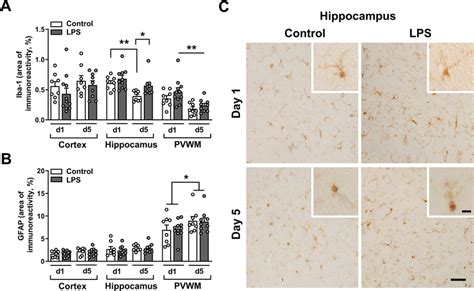 Intra Amniotic Lps Exposure Induced Microglial Activation In A