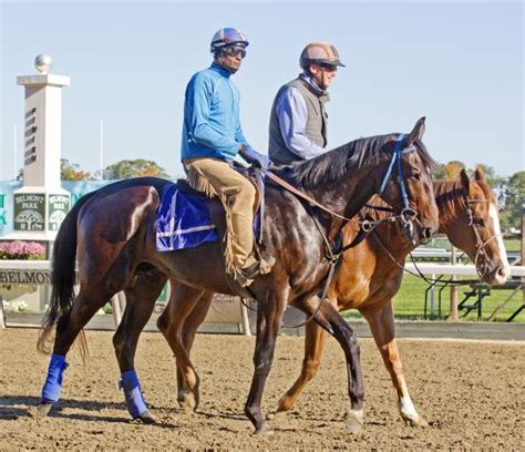 Zenyattas Colt Cozmic One Works Toward Career Debut