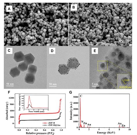 Figure 1 From Ultrasensitive Detection Of Ochratoxin A With A Zeolite