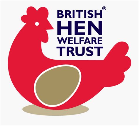 Giving Battery Hens A Fresh Start In Life With Help British Hen