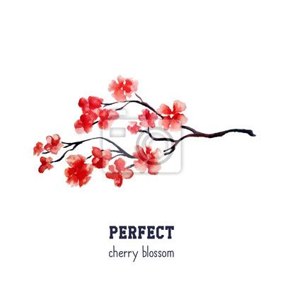 Realistic Sakura Blossom Japanese Red Cherry Tree Isolated Wall