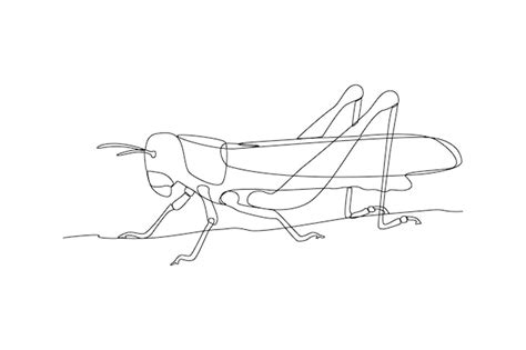 Concept D Insectes De Dessin Au Trait Continu Illustration Graphique