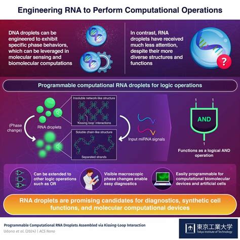 Engineering RNA To Perform IMAGE EurekAlert Science News Releases