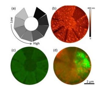 Mechanisms And Applications Of Laser Action On Lead Halide Perovskites