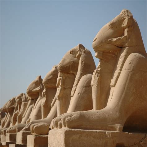 The Reviving Of The Grand Avenue Of Sphinxes Egypt Vacation Tours