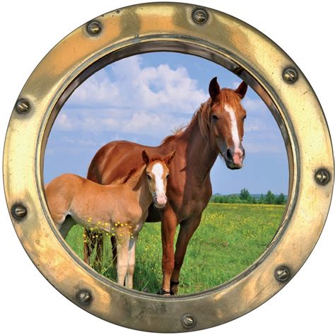 Sticker Hublot Trompe L Oeil Cheval Et Poney