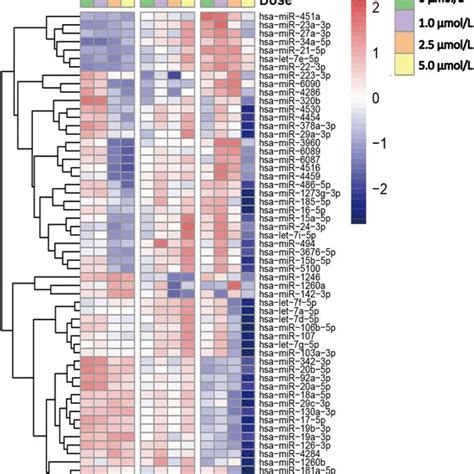 Heat Map Of The Log2 Transformed Expression Levels Of Mirnas The Download Scientific Diagram