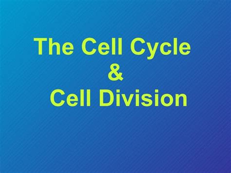 Cellular Structures And Their Functions Ppt