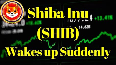 Altcoin Today Shiba Inu SHIB Wakes Up Suddenly What S Happening