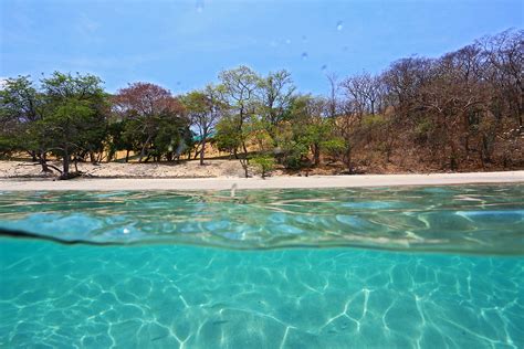 Playas De Guanacaste Conozca Calz N De Pobre Y Penca