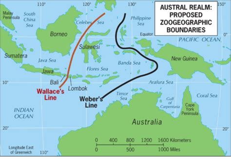 Module 12 Austral Realm Pacific Realm And Polar Regions Flashcards