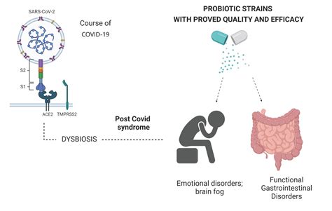 Postupne Byt Teenager Coprococcus Probiotic Priblížiť Majestátne Výhradný