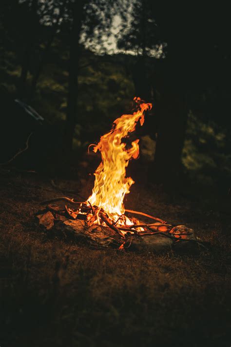 1,319+ Best Free Campfire Stock Photos & Images · 100% Royalty-Free HD ...