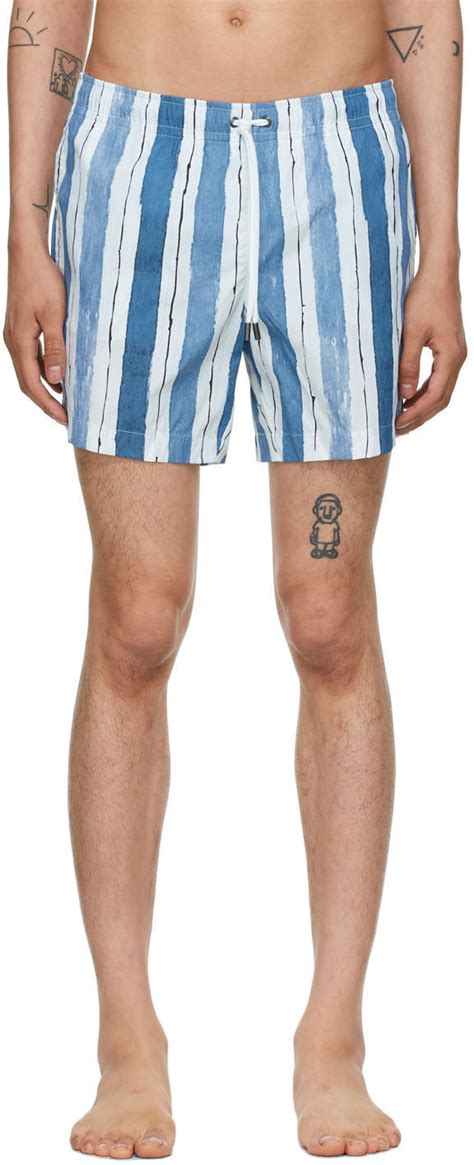 Ermenegildo Zegna Blue White Striped Mid Swim Shorts 290 Ssense