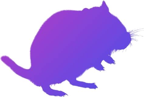 Download Gerbil Png Transparent Images - Illustration - ClipartKey