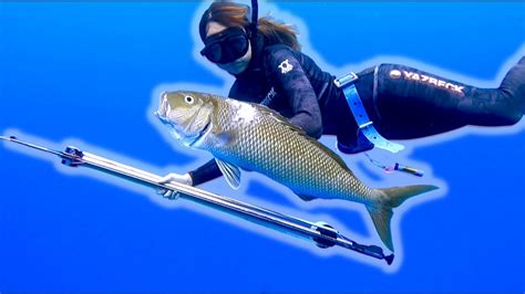 Best Of Hawaii Spearfishing Youtube