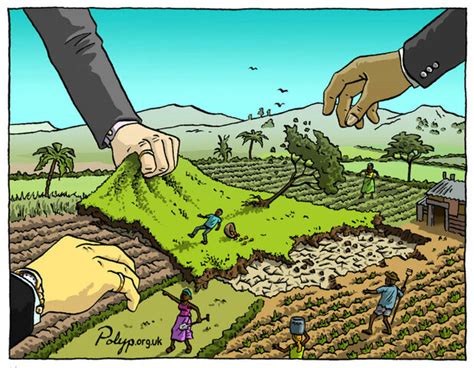 Evolución de la reforma agraria en Colombia timeline | Timetoast