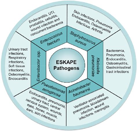 The Dangers Of The ESKAPE Pathogens