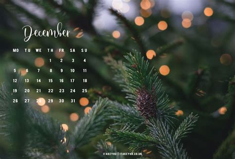 Free December Wallpapers Fairy Light Pine Tree Wallpaper I Take