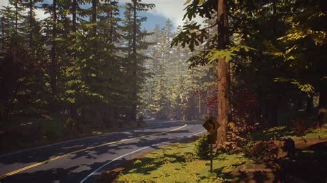 Life Is Strange Forest Fire X Fps Live Wallpaper X