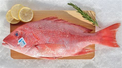 Baked Red Snapper Recipe How To Cook Red Snapper In The Oven