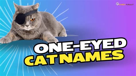 One-Eyed Cat Names [380+ Unique Ideas]