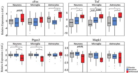 Boxplots Of Select Genes Demonstrating Significant Differential Gene