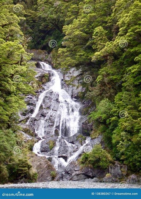 Waterfall In New Zealand Native Bush On The West Coast Stock Image