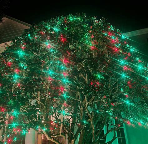 5mm Red/Green Soft Twinkle Slow Fading LED Christmas Lights, 50 Bulbs ...