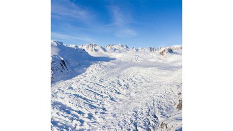 Train Fiord And Glaciers 6 Days Transport Incl Christchurch