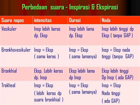 Perbedaan Inspirasi Dan Ekspirasi Brain