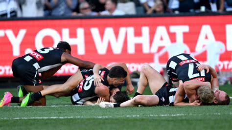 Afl 2023 Collingwood Magpies Defeat Brisbane Lions Social Media Reacts