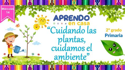 Cuidando Las Plantas Cuidamos El Ambiente Aprendo En Casa Maestra