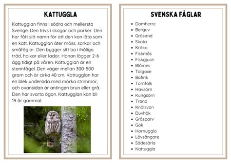 Faktakort Svenska F Glar Teach Academy