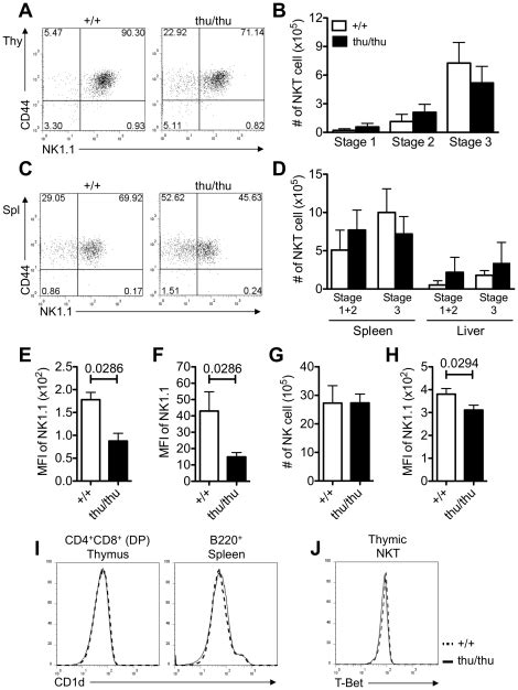 A C Representative Flow Cytometric Dot Plots Showing The Development