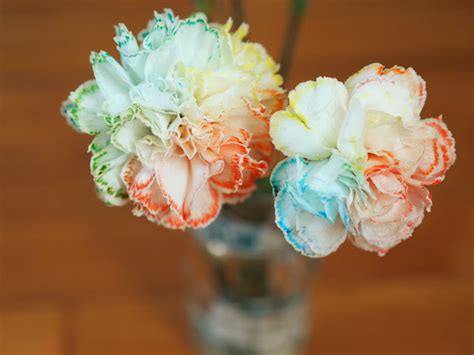 Rainbow Carnations | Fun Family Crafts