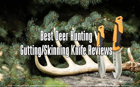 Best Deer Hunting Gutting Skinning Knife Reviews For Boss Targets