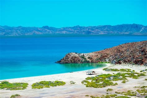 Baja Tour: How to Choosing the Best Experience in Baja California ...