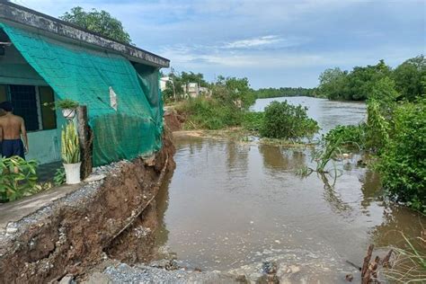 Vĩnh Long xảy ra sạt lở nghiêm trọng tại khu vực cập sông Cái Cao Báo