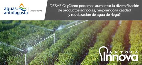 Antofa Innova Presenta Primer Desaf O De Agricultura Diversificaci N