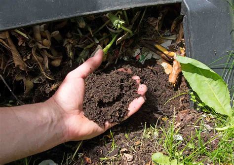 Comment Faire Du Compost Mitra Utility