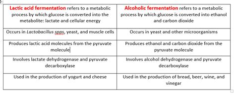 Alcoholic Fermentation And Lactic Acid Fermentation