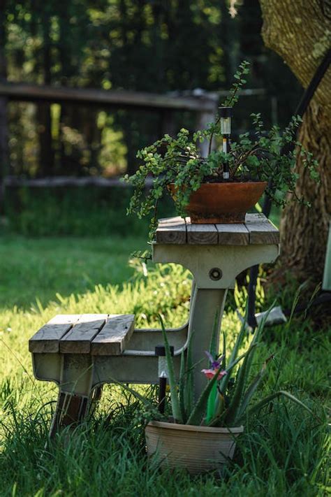 Rustic Bench in Garden · Free Stock Photo